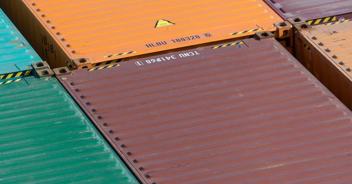 Elegir Empresa de Traducción para Licitaciones Públicas