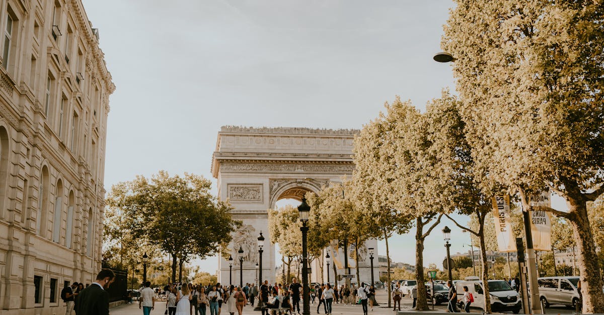 Document Translation for Opening a Branch in France: RCS