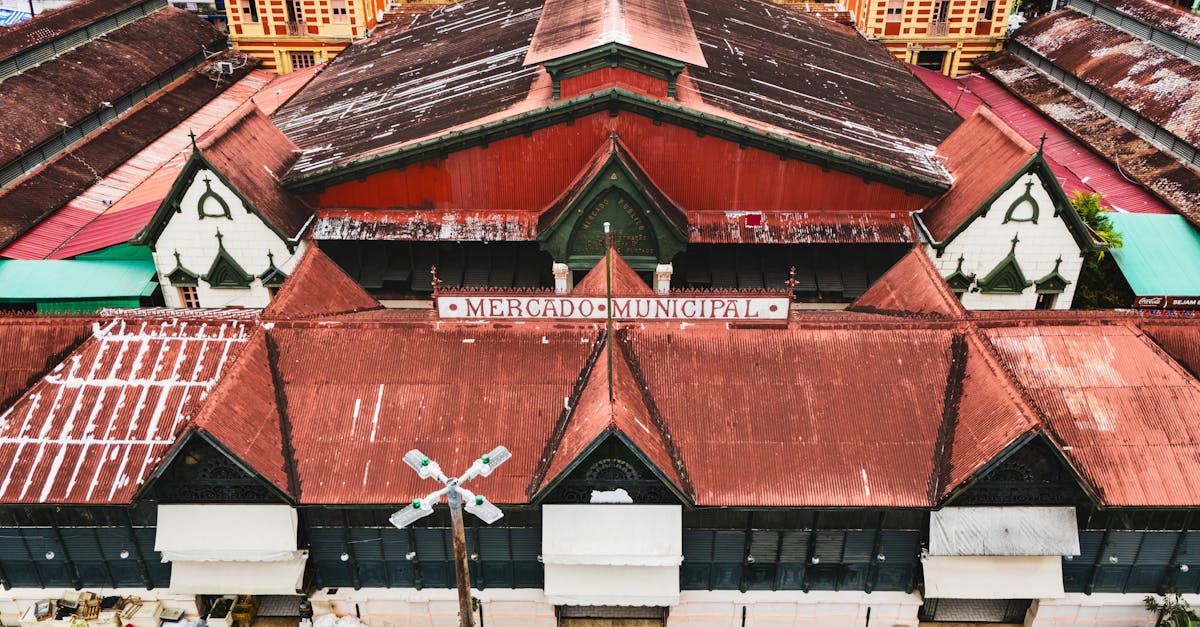 Tradução para o Mercado Angolano: Requisitos e Prazos