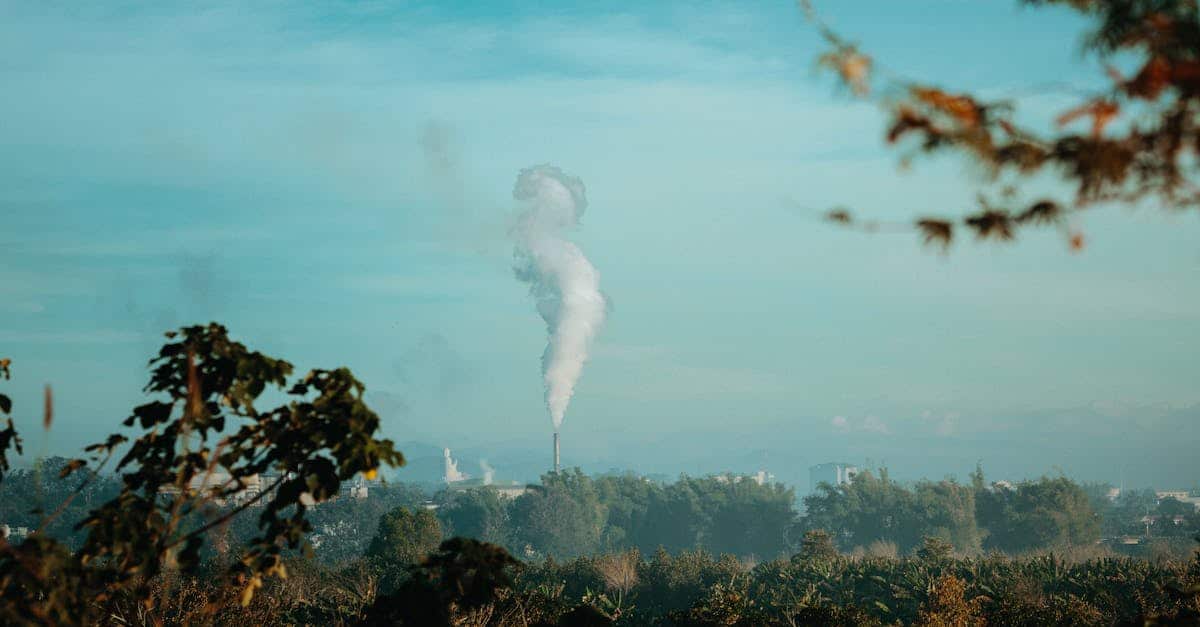 Translating Environmental Impact Reports for International Construction Projects