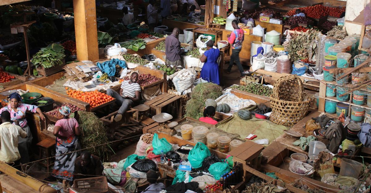 Entrer sur le Marché Mozambicain : Documents et Traduction