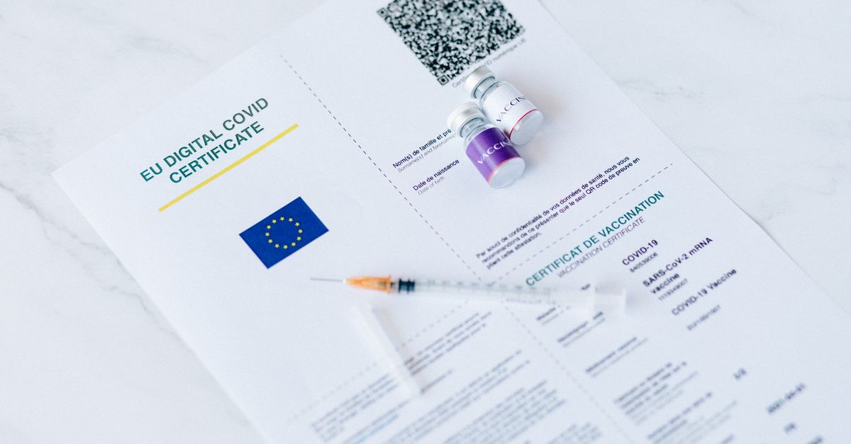 Tradução Certificada de Antecedentes Criminais