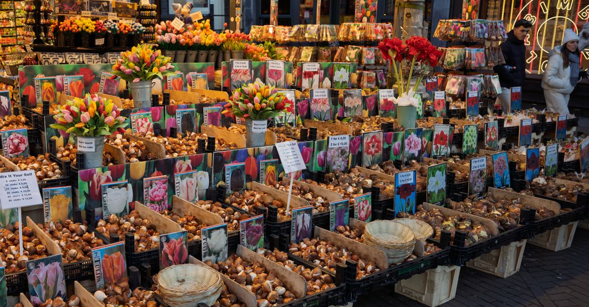 Tradução para os Mercados Holandês e Nórdico